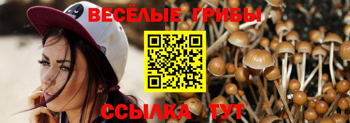 Карталы  Галлюциногенные грибы GOLDEN TEACHER  Галлюциногенные грибы прущие грибы  Вход с VPN 